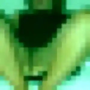 Adjoavi, 39 ans, connectée à Bailleval pour un rencontre adulte