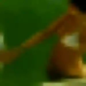 rencontre adulte à Ballon : photo de Akissi, 33 ans - accès libre