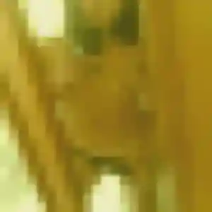 Sonia (32 ans) à Baratier cherche une rencontre ce soir