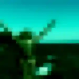 Ronke, 34 ans, cherche un rencontre adulte à Bard