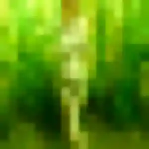 Profil de Vanessa à Barges (31 ans) - rencontre adulte anonyme