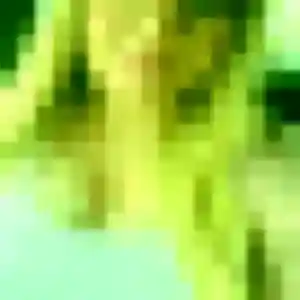 Amandine, 32 ans, connectée à Basse-Terre pour une rencontre coquine