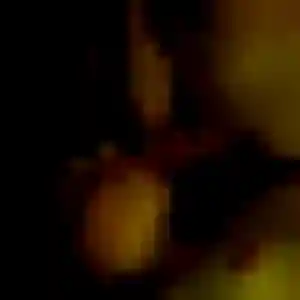 Félicité, 41 ans, cherche un rencontre adulte à Basse-Terre
