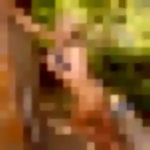 Profil de Anaïs à Battenheim (40 ans) - rencontre adulte anonyme