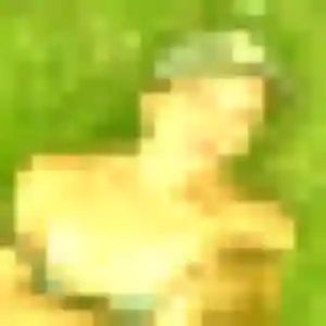 Photo sexy de Céline, 37 ans à Bavans - rencontre sans lendemain