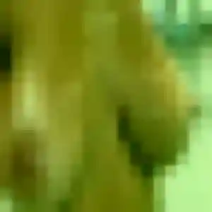 Photo de Léonie à Bazas (26 ans) - rencontre adulte gratuit