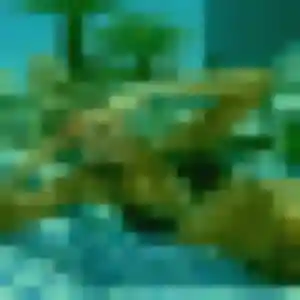 Photo sexy de Solange, 21 ans à Baziège - rencontre coquine