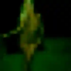 Contacte Adja, 45 ans à Bazus en privé