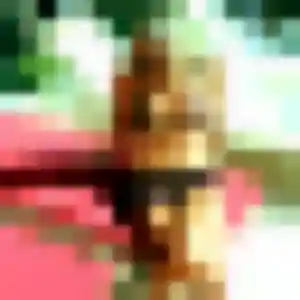 rencontre adulte à Beaucé : profil de Yvette, 39 ans - sans engagement