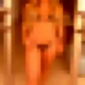 Kelly, 35 ans, dispo pour rencontre adulte à Beauregard-de-Terrasson