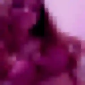 Delphine (22 ans) à Beauregard propose une rencontre aujourd'hui