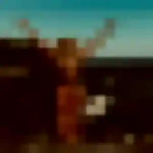 rencontre adulte à Beauregard : profil de Ehui, 37 ans - inscription gratuite