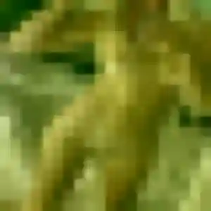 Photo exclusive de Fama, 33 ans à Beauregard - plan discret