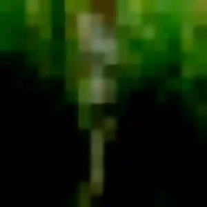 Nyima de Bellaing, 43 ans - rencontre adulte sans lendemain