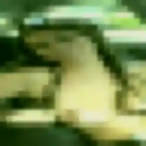 Gnilane, 24 ans, en ligne à Belleneuve pour une rencontre coquine
