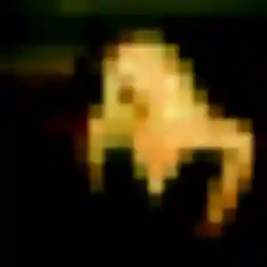 Contacte Dieynaba, 37 ans à Bellinghem en t'inscrivant