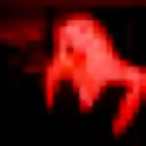 Nafi (33 ans) à Bellinghem propose une rencontre rapidement