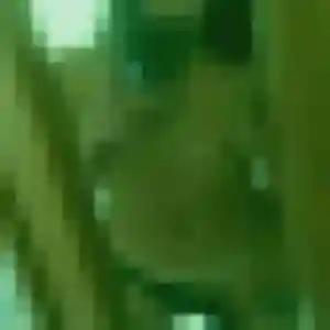 Lise (40 ans) à Bénéjacq propose un rencontre adulte ce soir