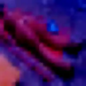 Shade, fille de 37 ans veut rencontre adulte à Bénéjacq