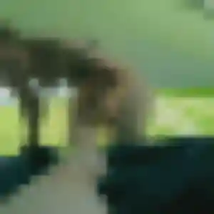 Charmante Njeri, 29 ans à Bénodet - voir sa photo