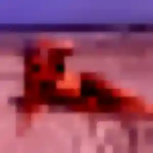 Photo exclusive de Charline, 27 ans à Berck - rencontre coquine