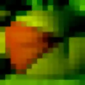 Belle Ketty, 42 ans à Bessenay - voir sa photo