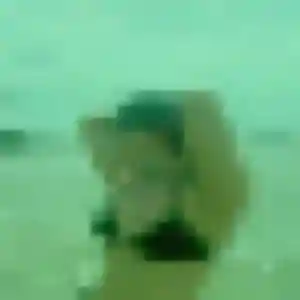 Akinyi (21 ans) à Beuzevillette propose un rencontre adulte aujourd'hui