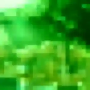 rencontre adulte à Billiers : photo de Shanna, 22 ans - inscription gratuite