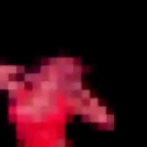 rencontre adulte à Bischwihr : photo de Ténin, 22 ans - accès libre