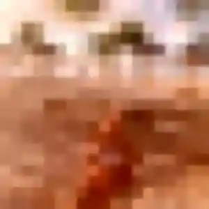 Salamata (30 ans) à Blyes propose un rencontre adulte ce soir