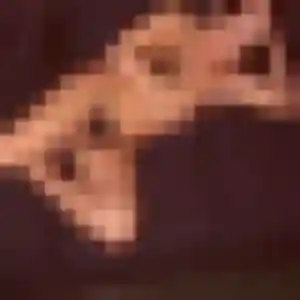 Jumoke (37 ans) à Bobital cherche un rencontre adulte ce soir