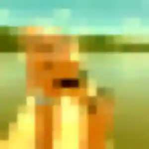 rencontre adulte à Bodilis : profil de Ehui, 33 ans - inscription gratuite