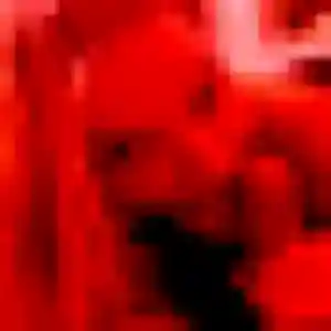 Photo sexy de Paulette, 20 ans à Boisemont - rencontre coquine
