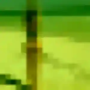 rencontre adulte à Boissy-le-Sec : photo de Nkechi, 39 ans - inscription gratuite