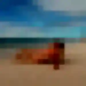 Découvre Capucine, 28 ans à Bologne gratuitement