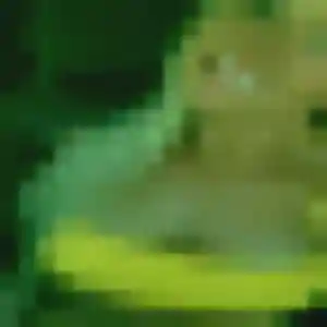 Samira, 32 ans, cherche un rencontre adulte à Bonnétable