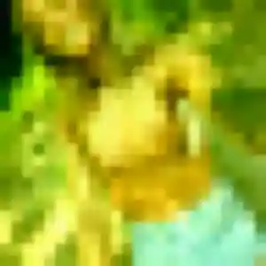 Amara, 29 ans, connectée à Bonsecours pour un rencontre adulte