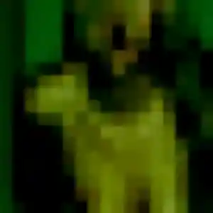 Photo perso de Quetsia, 37 ans à Bosdarros - rencontre coquine