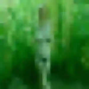 Rejoins Amara, 29 ans à Bosrobert gratuitement