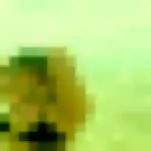 rencontre adulte à Bouglainval : profil de Ursula, 20 ans - sans engagement