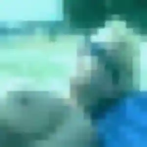 Photo privée de Solène, 29 ans à Bouleurs - rencontre sans lendemain