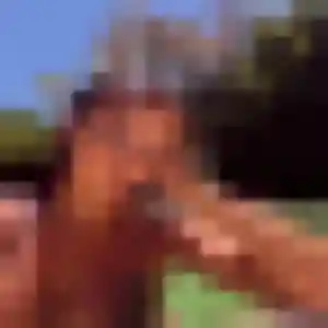 Yawa, 40 ans, en ligne à Bourret pour un rencontre adulte