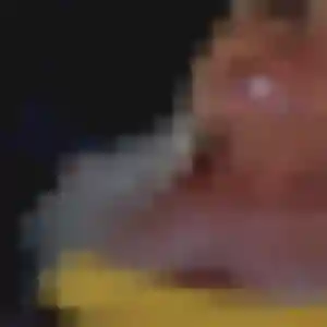 Découvre Diary, 38 ans à Bouvignies en privé