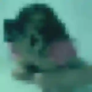 Bérénice, fille de 28 ans cherche rencontre adulte à Bouvines