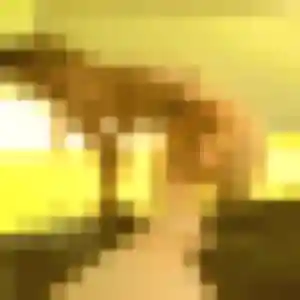 Belle Daba, 43 ans à Bouvron - voir sa photo