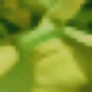 Khoudia de Bouzigues, 41 ans - rencontre adulte sans lendemain