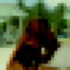 Ketsia, 27 ans, veut un rencontre adulte à Bretx