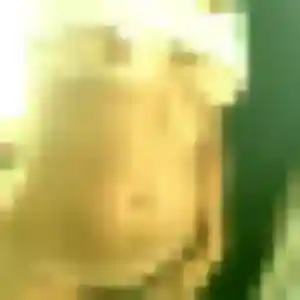 rencontre adulte à Brie-Comte-Robert : profil de Khoudia, 28 ans - inscription gratuite