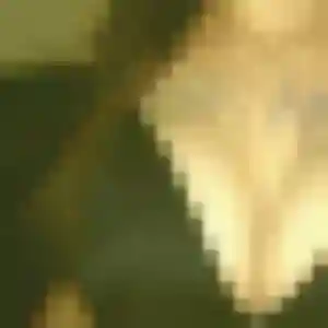 Ruth de Brix, 19 ans - rencontre adulte sans prise de tête