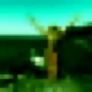 Issa, 27 ans, disponible à Broons pour une rencontre coquine